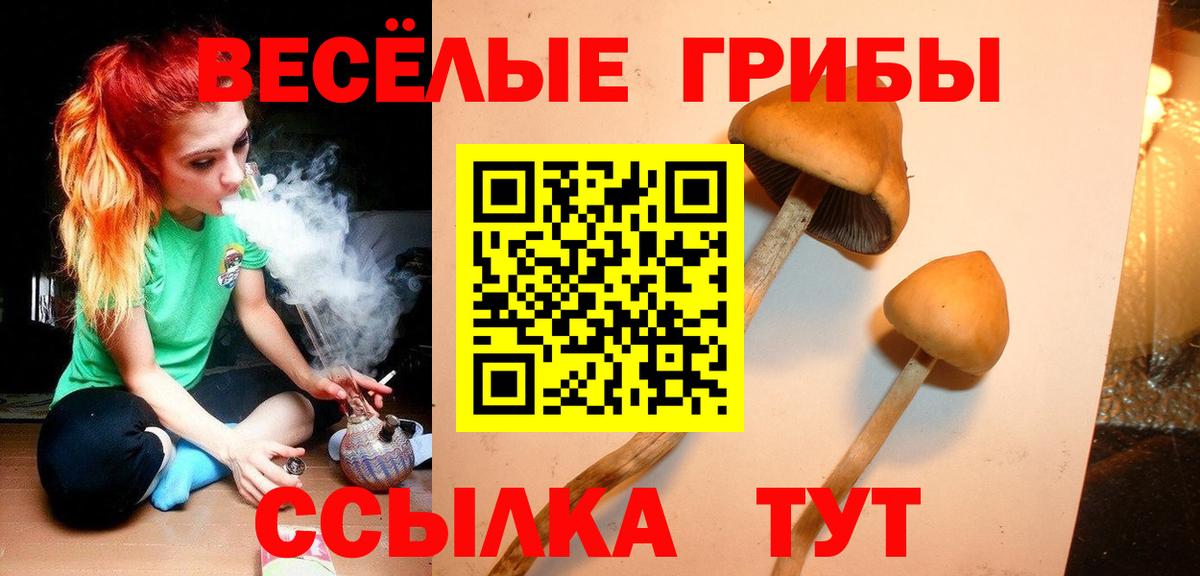 Псилоцибиновые грибы Cubensis  Вход с VPN  Добрянка  Галлюциногенные грибы Magic Shrooms 