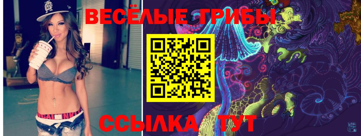 Псилоцибиновые грибы MAGIC MUSHROOMS Добрянка